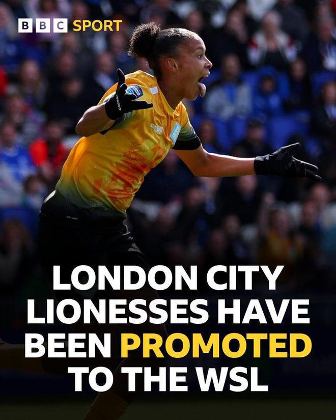 从容应对 从容应对