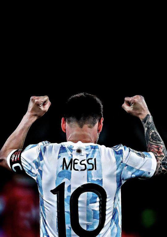 莫和佩德里 莫和佩德里