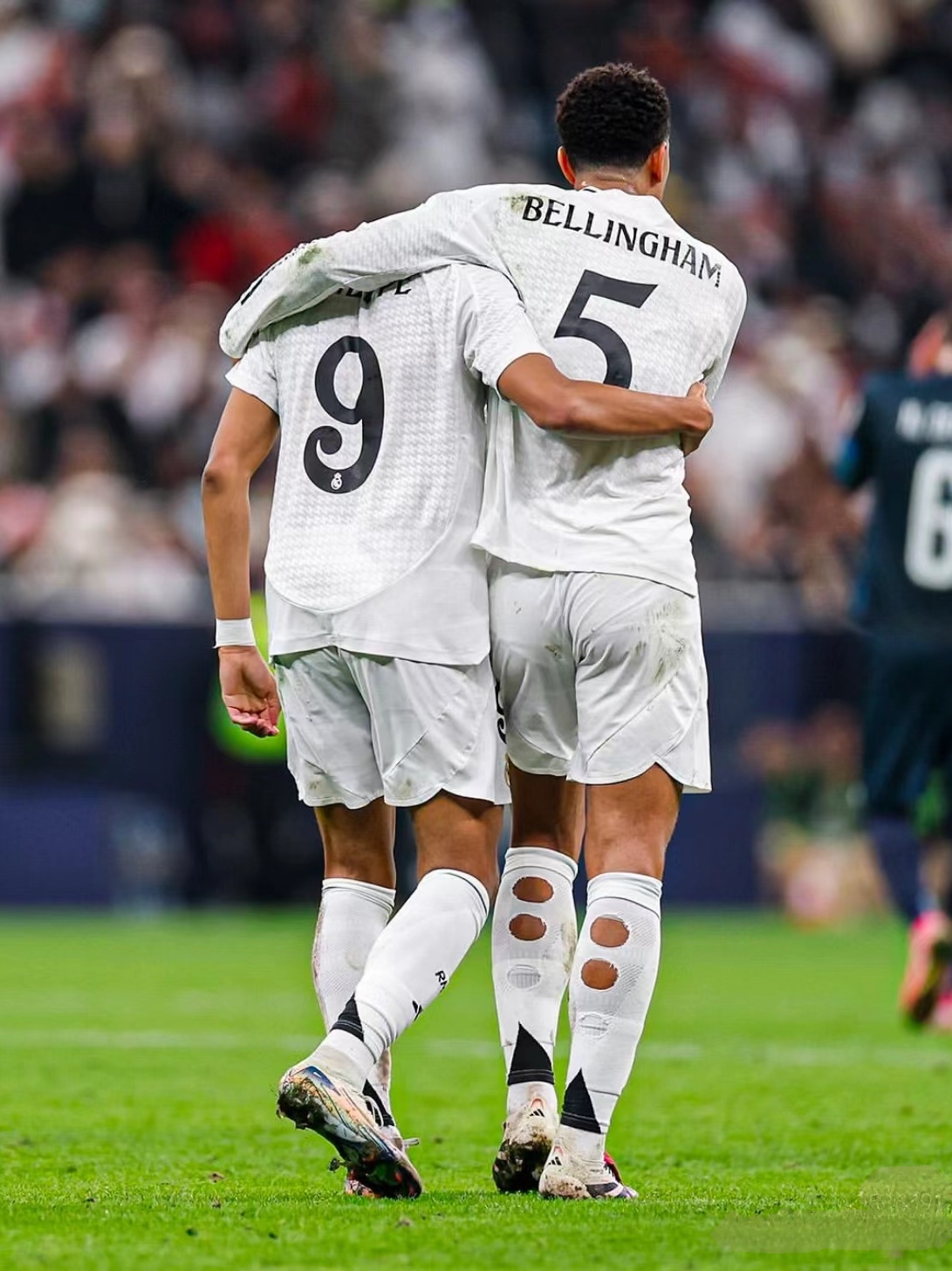 正是这些多 正是这些多